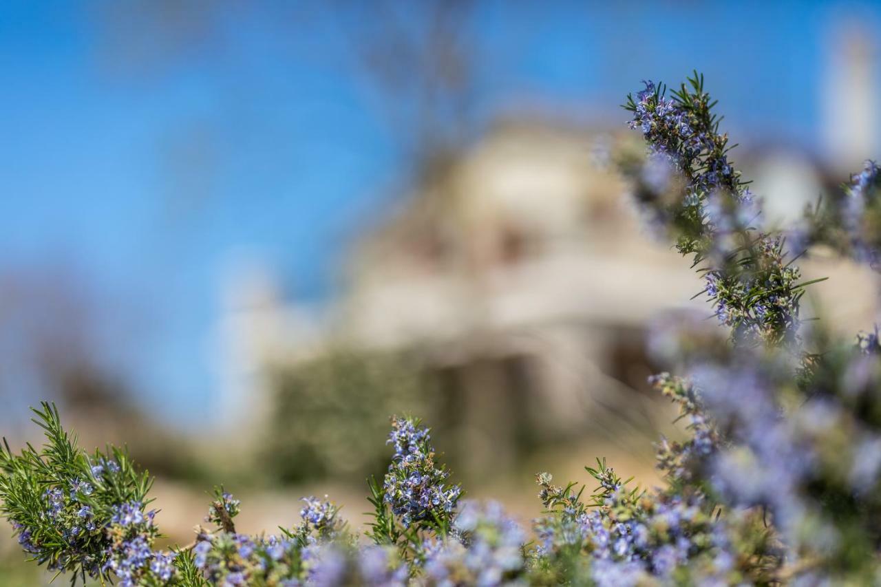 Villa Korina ปิเนซิตซี ภายนอก รูปภาพ